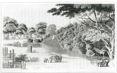 Elephant Snare at Kotawy, volume I from 